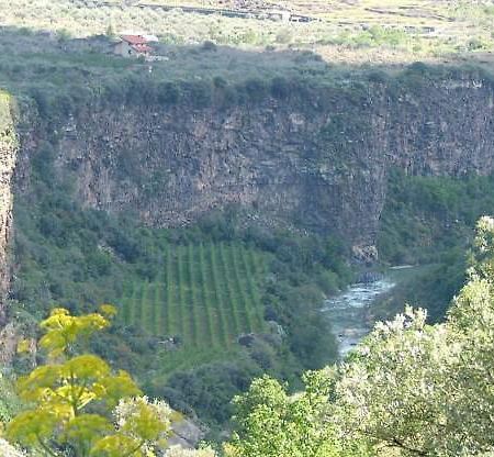 Cuntarati Nature Tourism - Simeto Etna Bronte Bagian luar foto