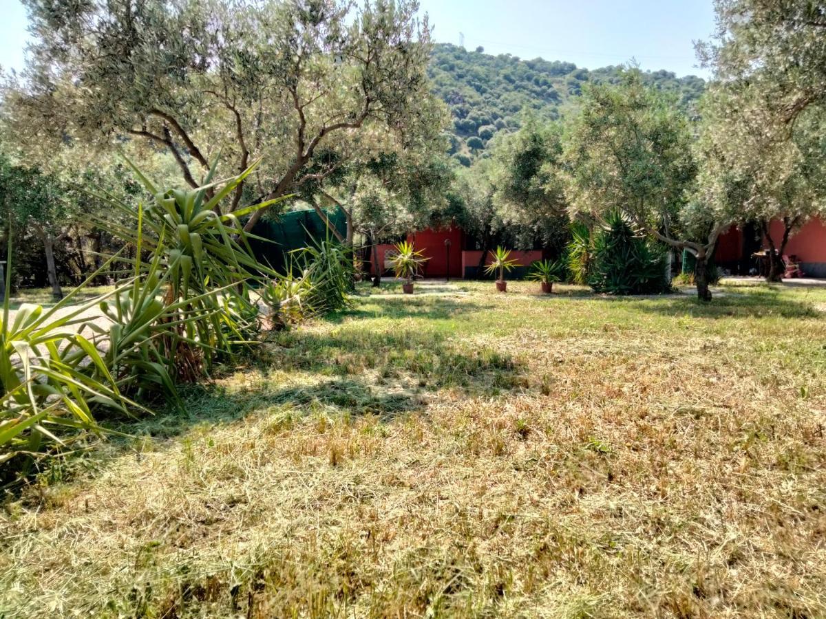 Cuntarati Nature Tourism - Simeto Etna Bronte Bagian luar foto