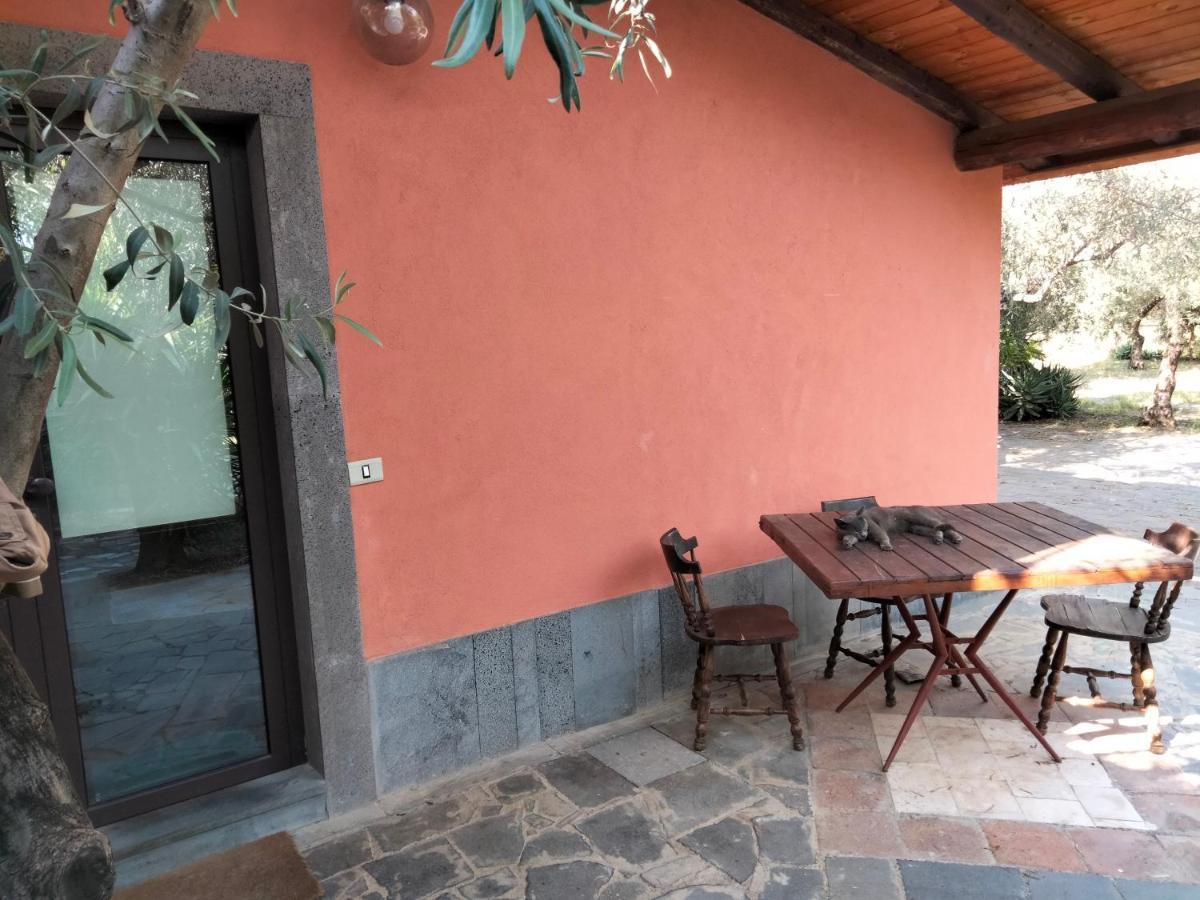 Cuntarati Nature Tourism - Simeto Etna Bronte Bagian luar foto