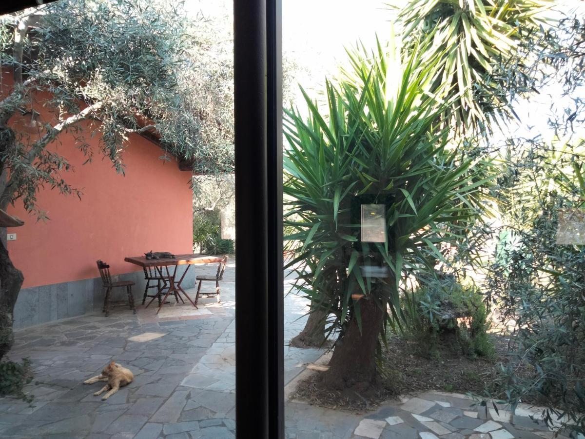 Cuntarati Nature Tourism - Simeto Etna Bronte Bagian luar foto