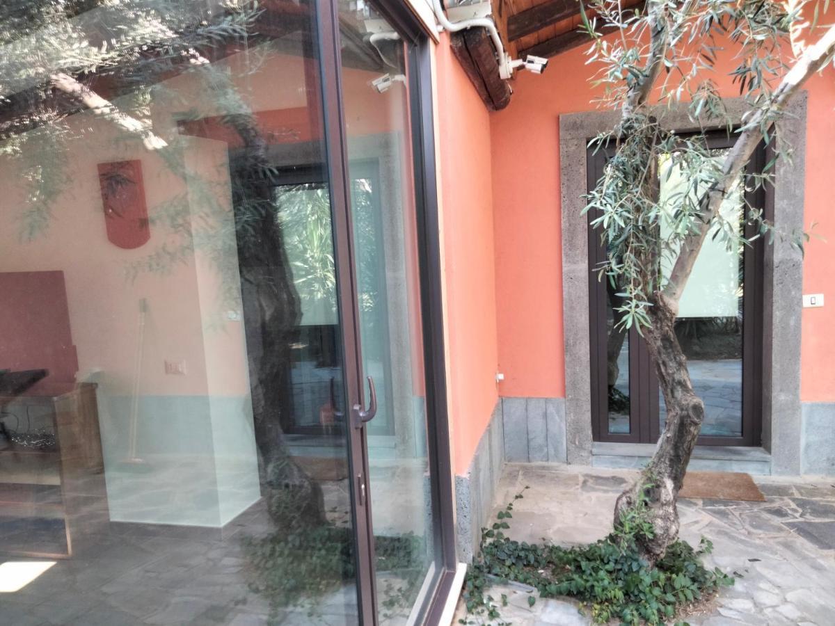 Cuntarati Nature Tourism - Simeto Etna Bronte Bagian luar foto
