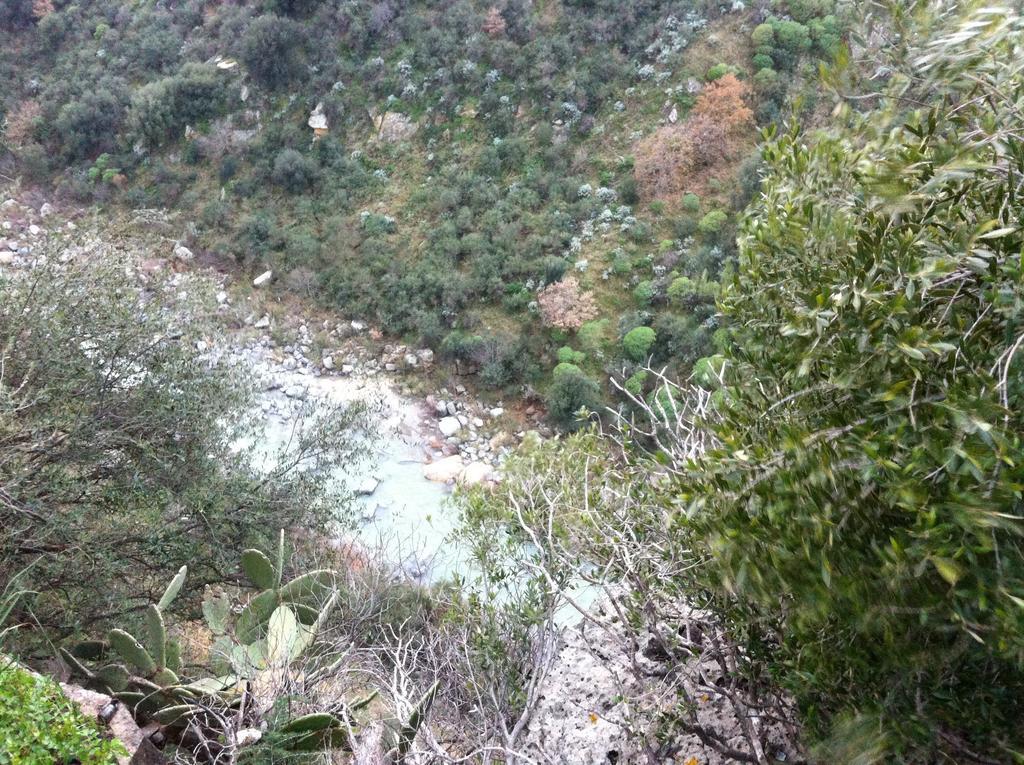 Cuntarati Nature Tourism - Simeto Etna Bronte Bagian luar foto