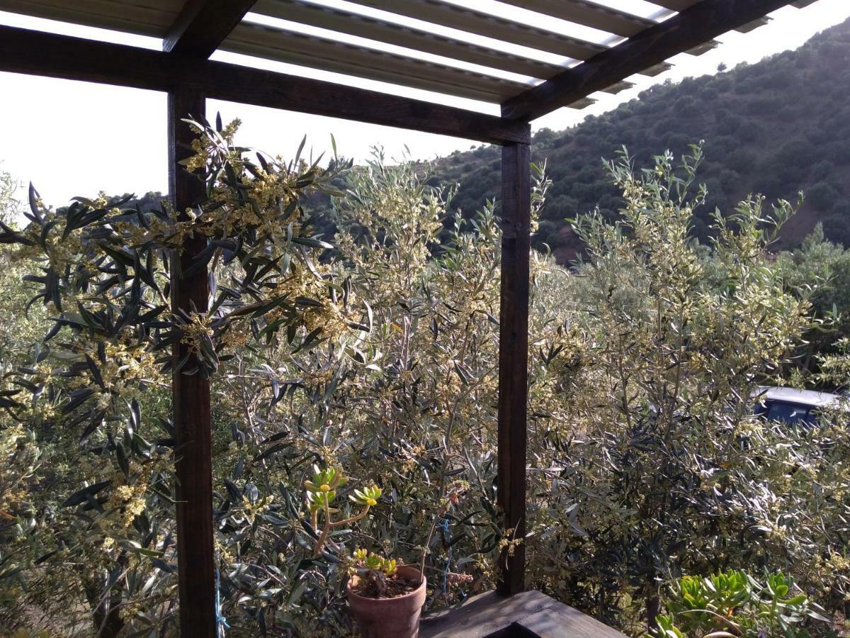 Cuntarati Nature Tourism - Simeto Etna Bronte Bagian luar foto